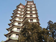 SEO外包